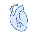 cardiologo